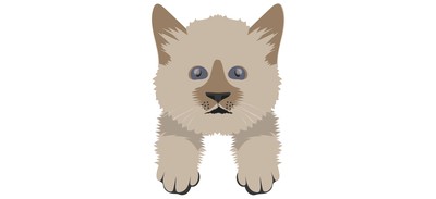 Image for Cat Cat Face Pet Cricut SVG Design