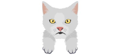 Image for Cat Cat Face Pet Cricut SVG Design