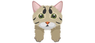 Image for Cat Cat Face Pet Cricut SVG Design