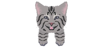 Image for Cat Cat Face Pet Cricut SVG Design