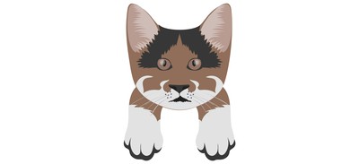 Image for Cat Cat Face Pet Cricut SVG Design