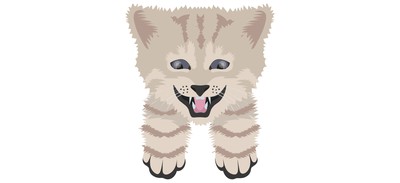 Image for Cat Cat Face Pet Cricut SVG Design