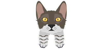 Image for Cat Cat Face Pet Cricut SVG Design