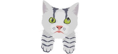 Image for Cat Cat Face Pet Cricut SVG Design