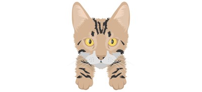 Image for Cat Cat Face Pet Cricut SVG Design