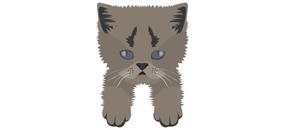 Image for Cat Cat Face Pet Cricut SVG Design