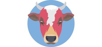 Image for Cow Face Head Cricut SVG Design