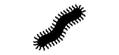 Image for Centipede Cricut SVG Design