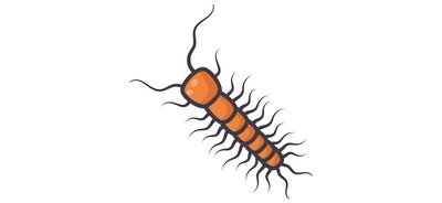 Image for Centipede  Cricut SVG Design