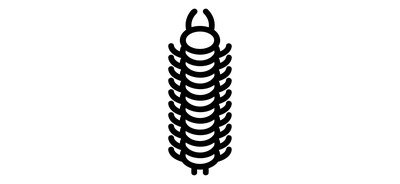 Image for Centipede Chilopoda Harmful Insect Cricut SVG Design