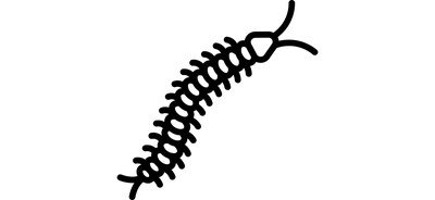 Image for Centipede Danger Critter Cricut SVG Design