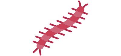 Image for Centipede  Cricut SVG Design