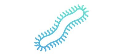 Image for Centipede Cricut SVG Design