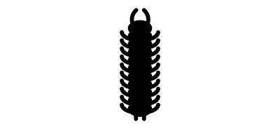 Image for Free Centipede Chilopoda Harmful Insect Cricut SVG Design