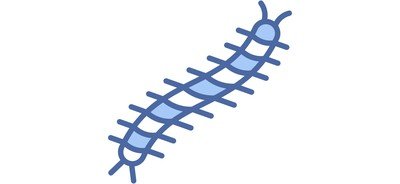 Image for Centipede  Cricut SVG Design