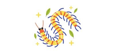 Image for Centipede  Cricut SVG Design