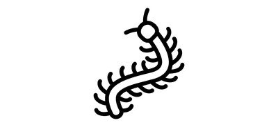 Image for Centipede Entomology Bug Cricut SVG Design