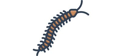 Image for Centipede Danger Critter Cricut SVG Design