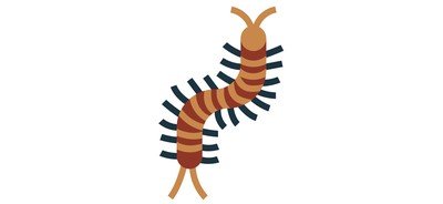 Image for Centipede  Cricut SVG Design