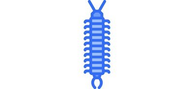 Image for Centipede  Cricut SVG Design