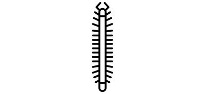 Image for Centipede Bug Insect Cricut SVG Design