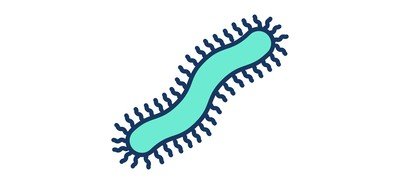 Image for Centipede Cricut SVG Design