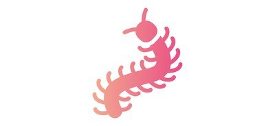 Image for Centipede Entomology Bug Cricut SVG Design