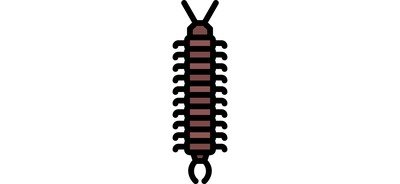 Image for Centipede Beetle Bug Cricut SVG Design