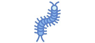 Image for Centipede  Cricut SVG Design