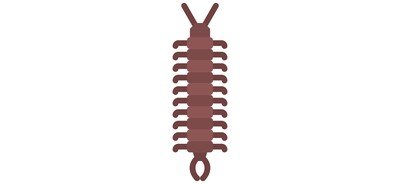 Image for Centipede  Cricut SVG Design