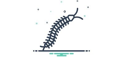 Image for Centipede Danger Critter Cricut SVG Design