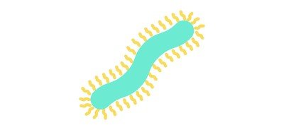 Image for Centipede Cricut SVG Design