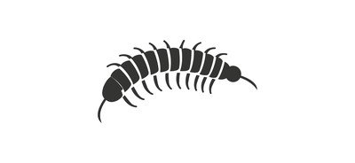 Image for Centipede Insect Many Legs Carnivorous Cricut SVG Design