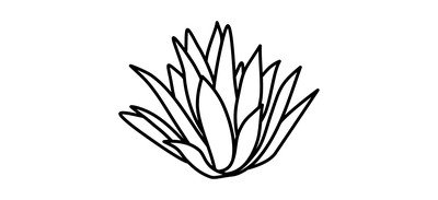 Image for Century plant  Cricut SVG Design