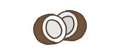 Image for Coconut Seed Shell Cricut SVG Design