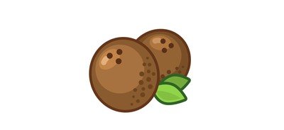 Image for Coconut Fruit Healthy Cricut SVG Design