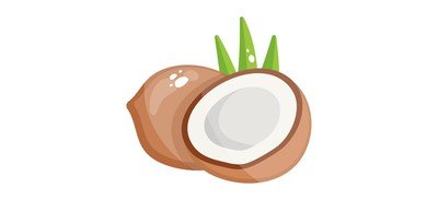 Image for Coconut Food Fruit Cricut SVG Design