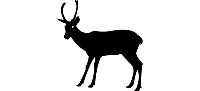 Image for Animal Deer Wild Animal Cricut SVG Design