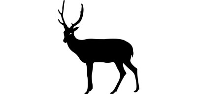 Image for Animal Deer Wild Animal Cricut SVG Design