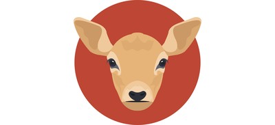 Image for Kid Goat Animal Cricut SVG Design