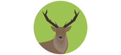 Image for Deer Animal Cricut SVG Design