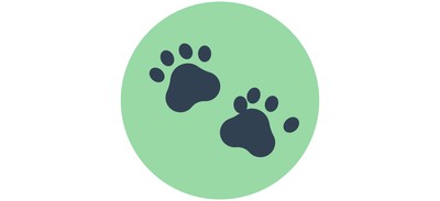 Image for Dog Paw Pet Cricut SVG Design