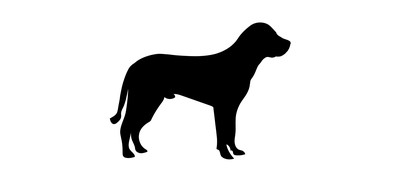 Image for Dog Cur Old Cricut SVG Design