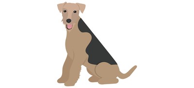 Image for Dog Breeds Dog Species Dog Cricut SVG Design