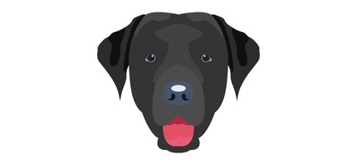 Image for Get Your Project Off To A Great Start With This Pack Of Dog Cricut SVG Designs T