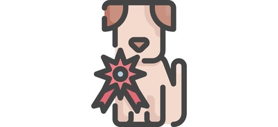 Image for Dog Pet Shop Cricut SVG Design