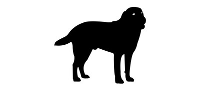 Image for Animal Dog Domestic Animal Cricut SVG Design