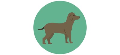 Image for Dog Animal Pet Cricut SVG Design