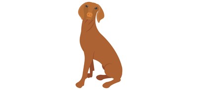 Image for Dog Breeds Dog Species Dog Cricut SVG Design