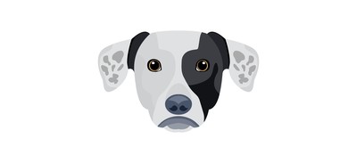 Image for Get Your Project Off To A Great Start With This Pack Of Dog Cricut SVG Designs T